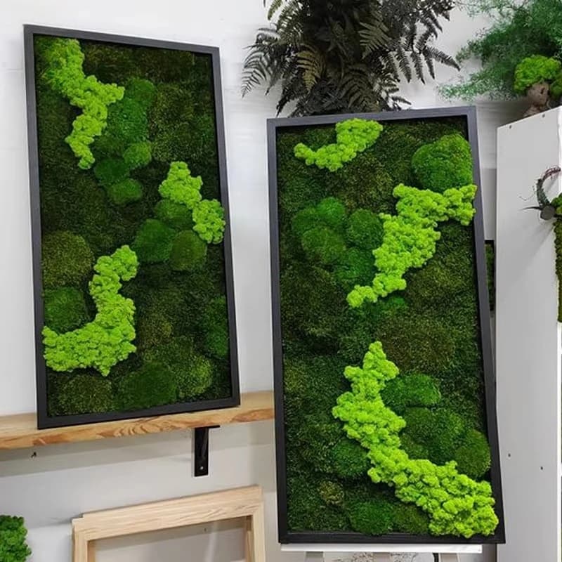 Preserved Moss Wall Art Panel for Airbnb Decor view 3