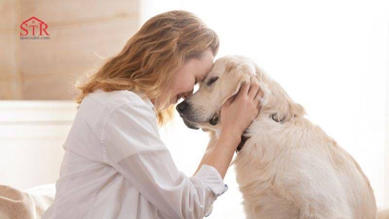 Understanding Airbnbs Service Animal Policy A Comprehensive Guide for Hosts and Guests