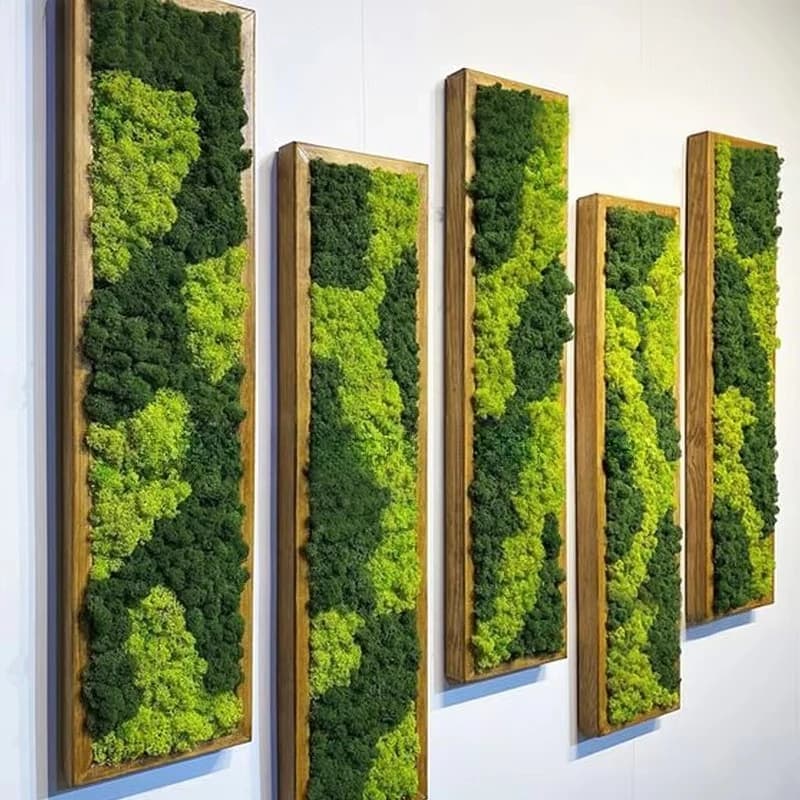 Preserved Moss Wall Art Panel for Airbnb Decor