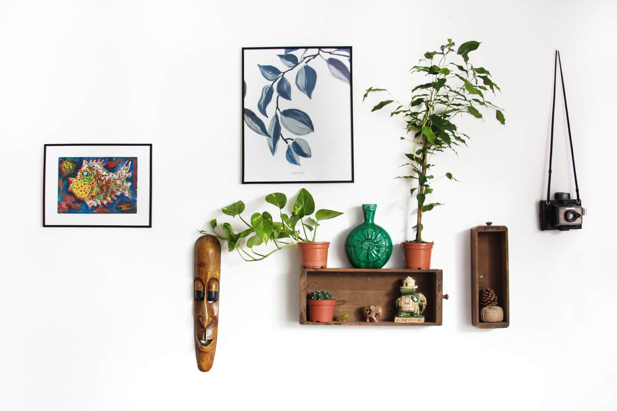 Airbnb Hosting An Airbnb hosting space adorned with plants and a skateboard on a white wall.