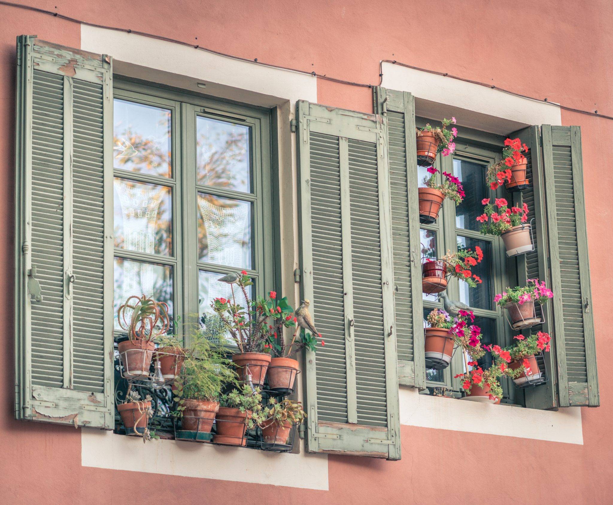 Airbnb Hosting An Airbnb hosting listing featuring a picturesque window adorned with green shutters.