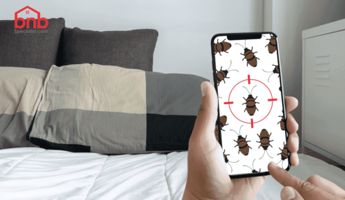 Airbnb Bed Bugs Problem: How To Prevent & Deal With It